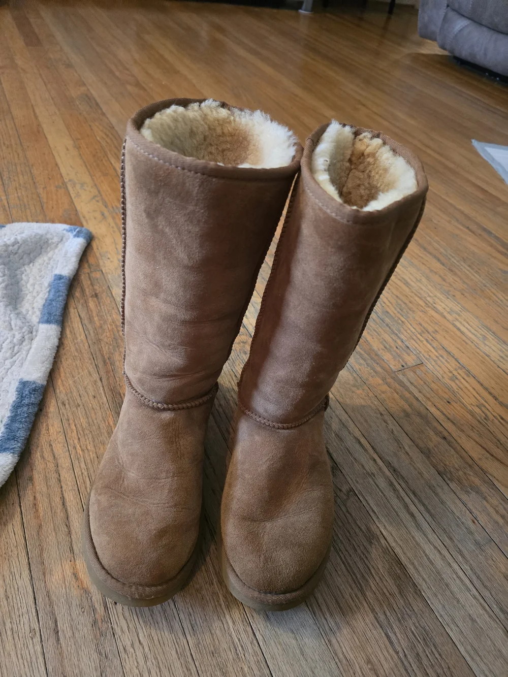 UGG Chestnut Suede Ankle Boots with Shearling Trim